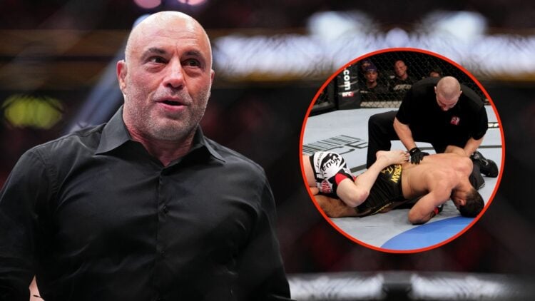 Joe Rogan. Inset, Referee Leon Roberts (Top) calls the fight as Rousimar Palhares (R) puts Mike Massenzio (L) into a leg lock