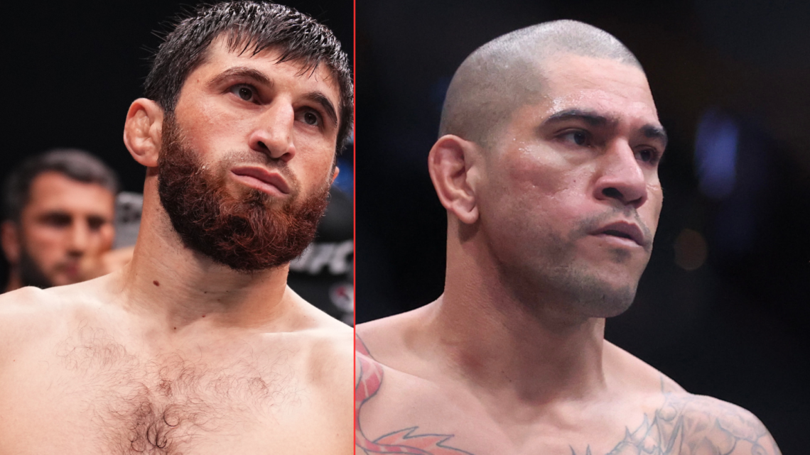 Magomed Ankalaev and Alex Pereira