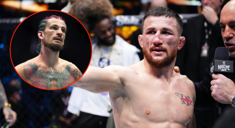 Pop out image of Merab Dvalishvili and Sean O'Malley at UFC 306
