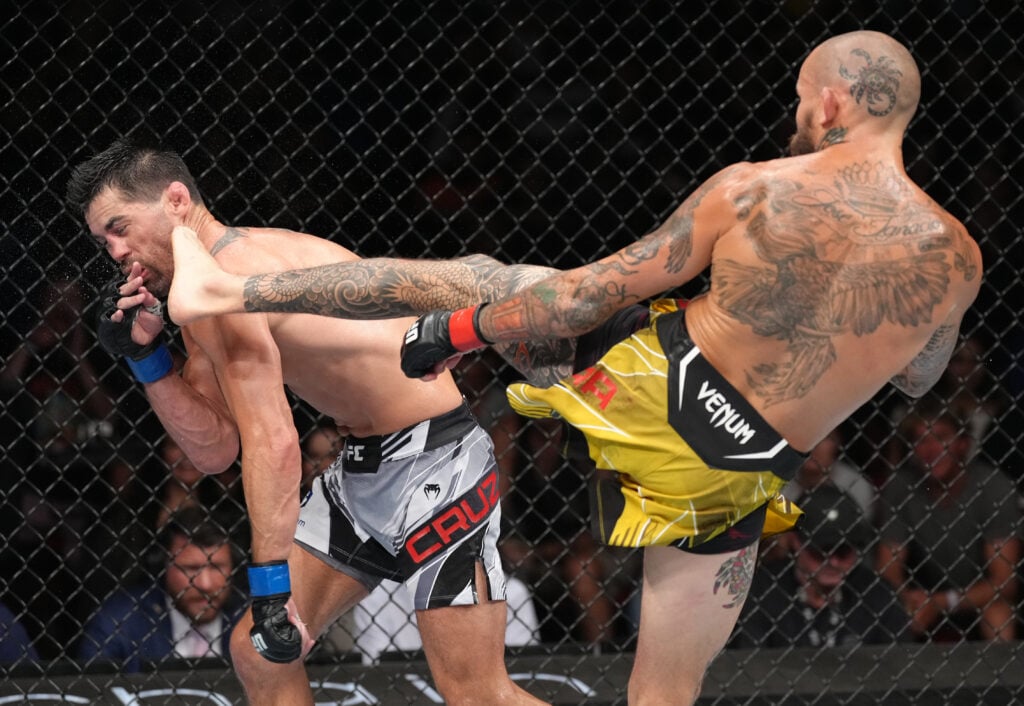 UFC Fight Night: Vera v Cruz