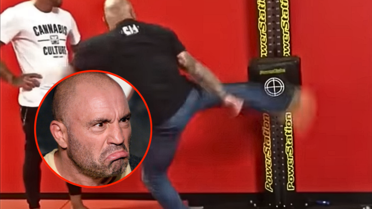 Joe Rogan's rib-crushing kicks leave UFC fans speechless