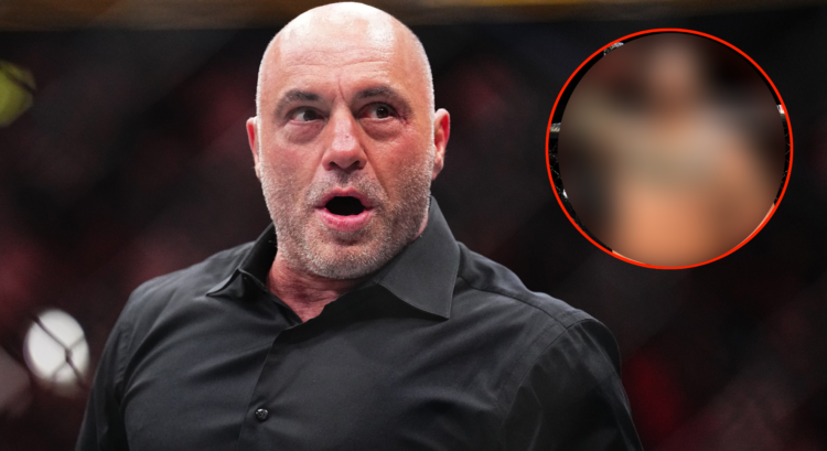 Joe Rogan, Mark Hunt