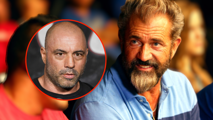 Mel Gibson tells Joe Rogan he 'woke up in hospital' after being KO'd in street fight after admitting UFC 'obsession'