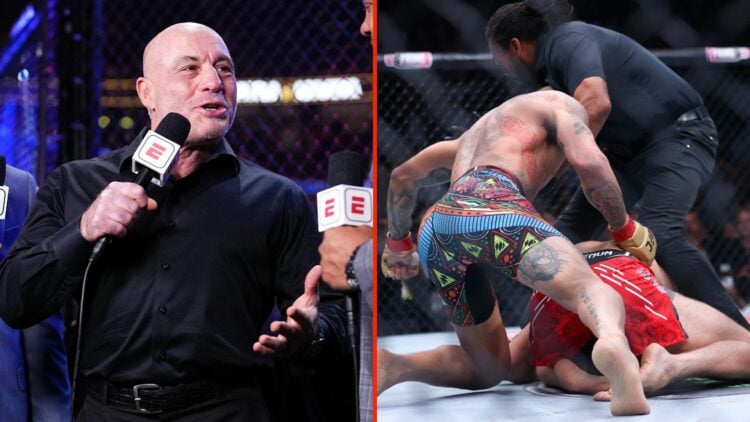 Joe Rogan on the mic and Jiri Prochazka being knocked out by Alex Pereira