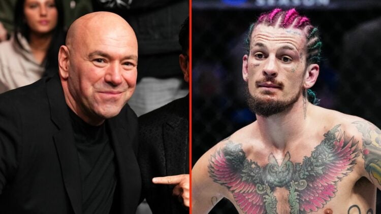 Dana White and Sean O'Malley