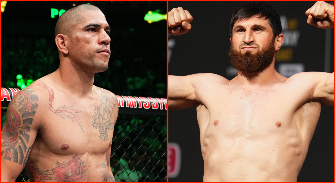 Image of Alex Pereira and Magomed Ankalaev
