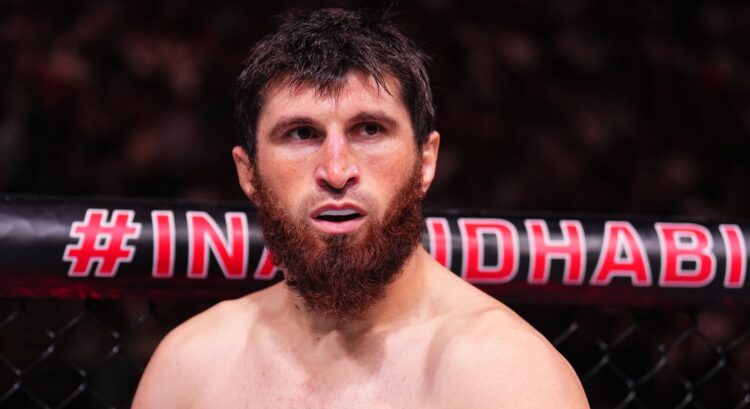Image of Magomed Ankalaev