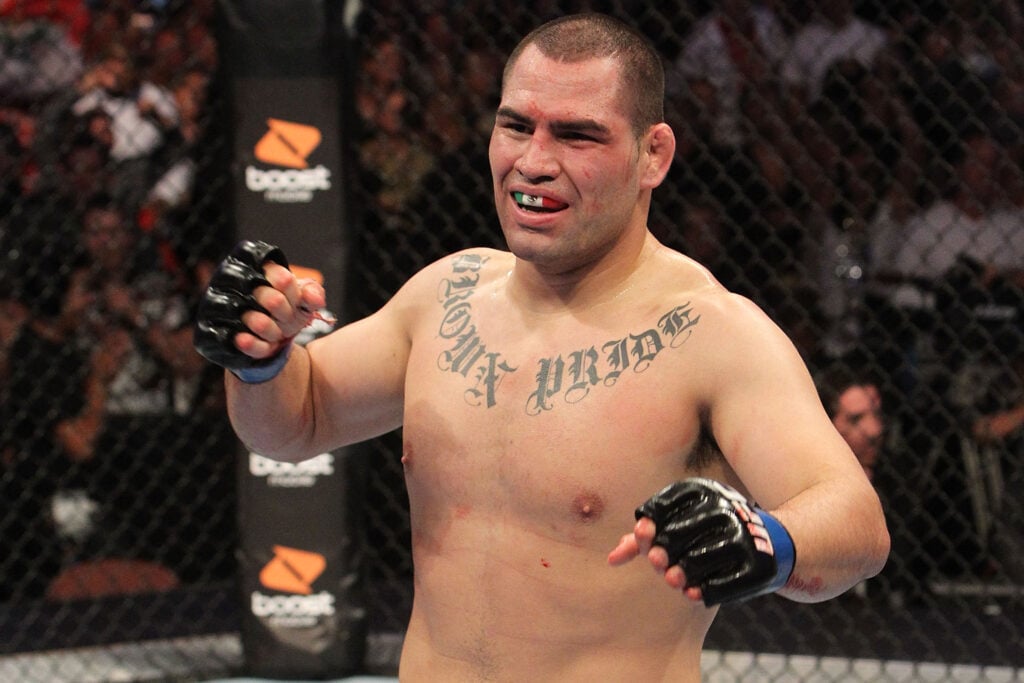 UFC 121: Velasquez v Lesnar