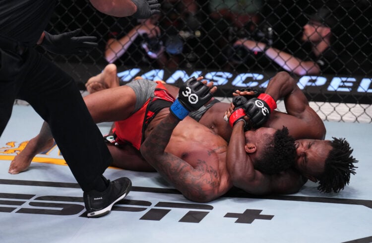 Photo by Al Powers/Zuffa LLC via Getty Images