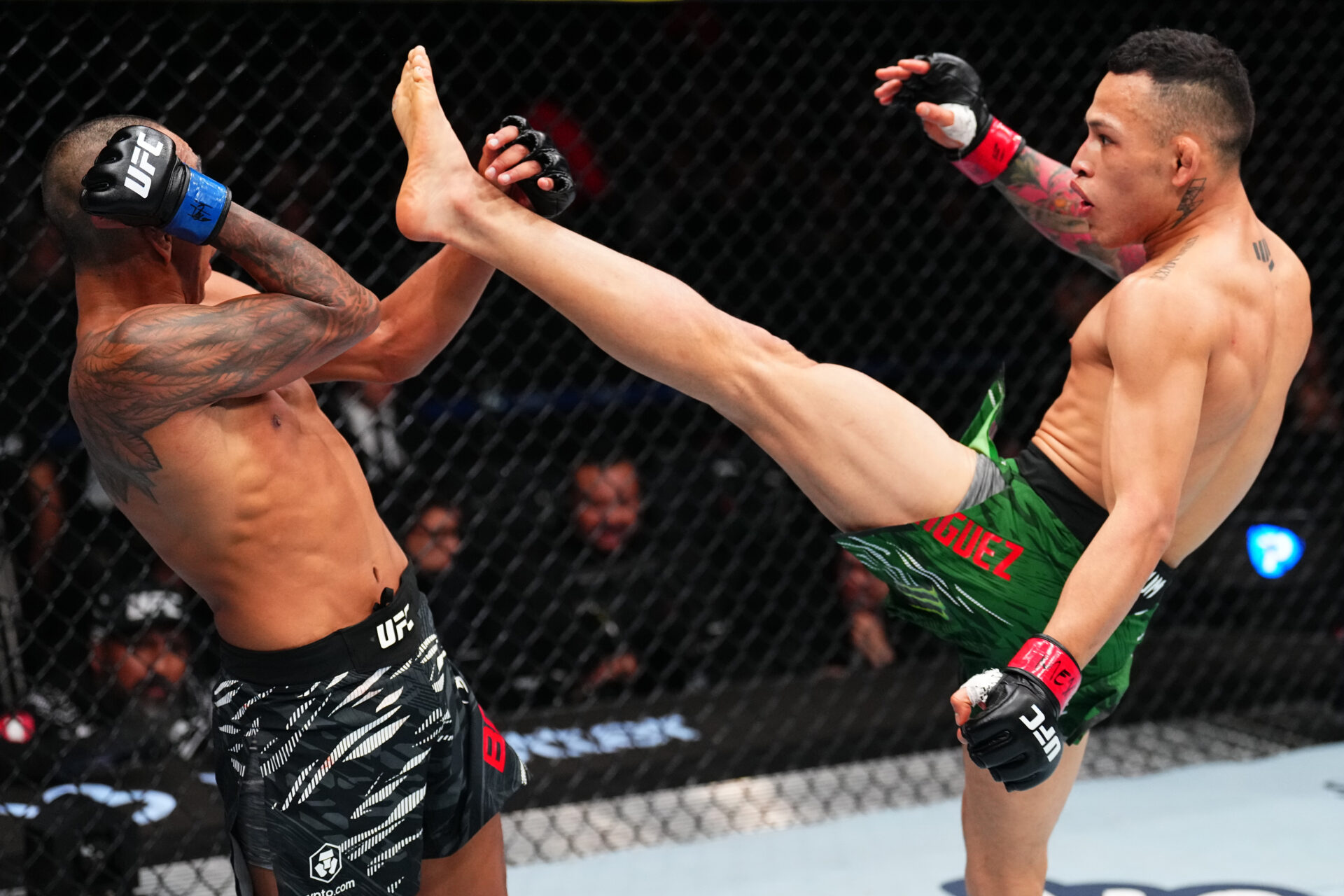 UFC Fight Night: Rodriguez v Borjas