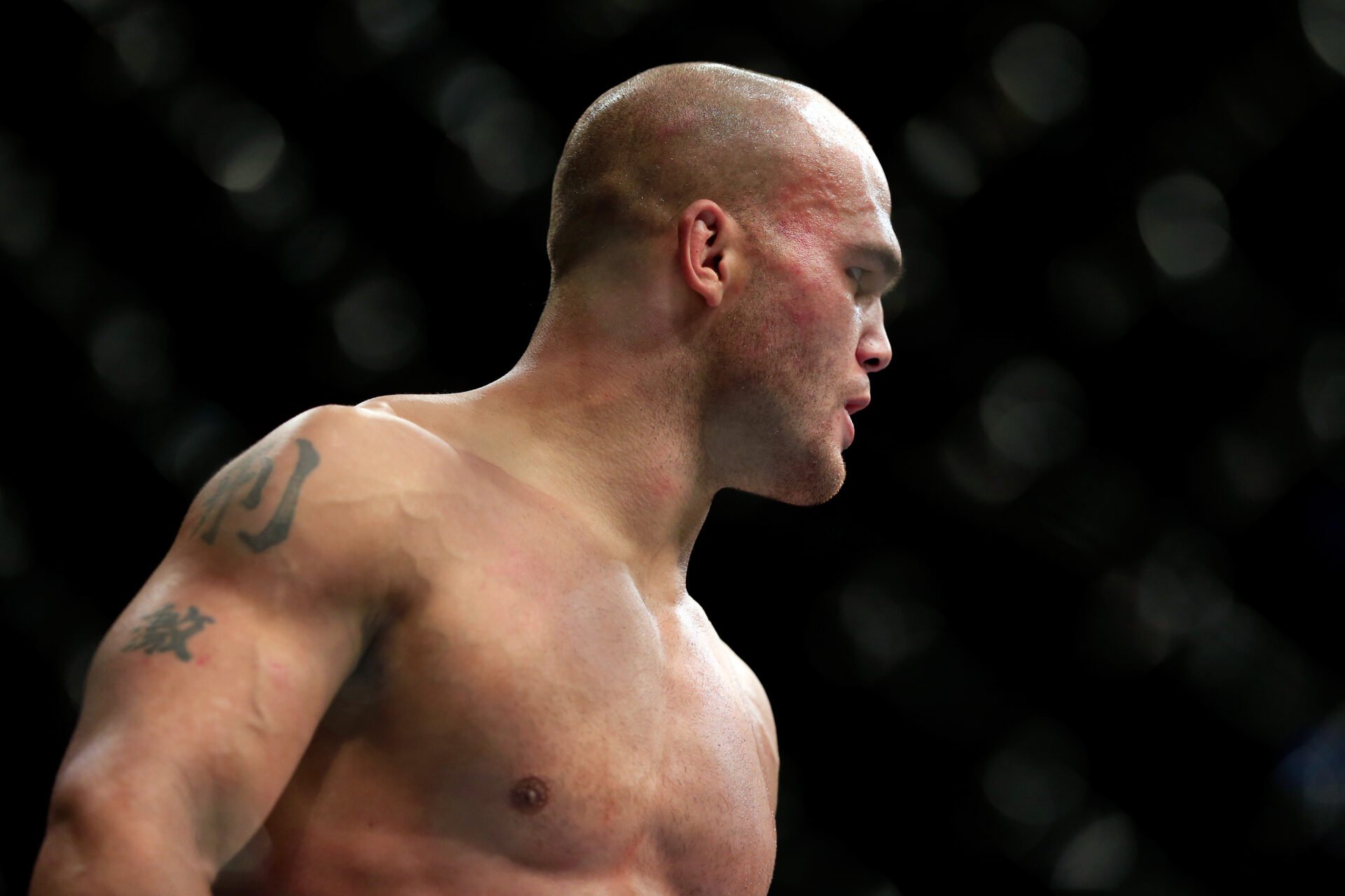 UFC 181 - Hendricks v Lawler