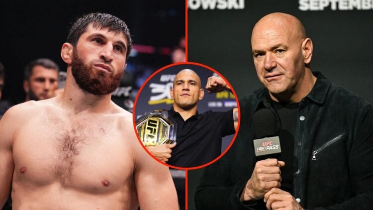 Split image of Magomed Ankalaev and Dana White, insert Alex Pereira.