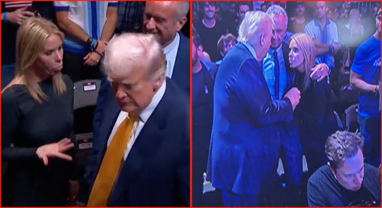 Left slide shows Donald Trump not shaking Cheryl Hines hand at UFC 314, right shows him meeting with her and Robert F Kennedy Jr at a later point a...