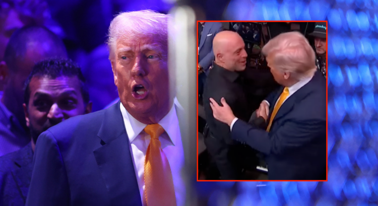 Donald Trump meeting with Joe Rogan at UFC 314