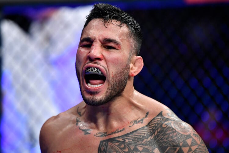 Photo by Jeff Bottari/Zuffa LLC