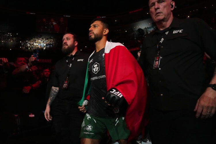 Photo by Josh Hedges/Zuffa LLC via Getty Images