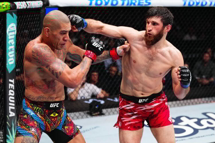 Photo by Jeff Bottari/Zuffa LLC