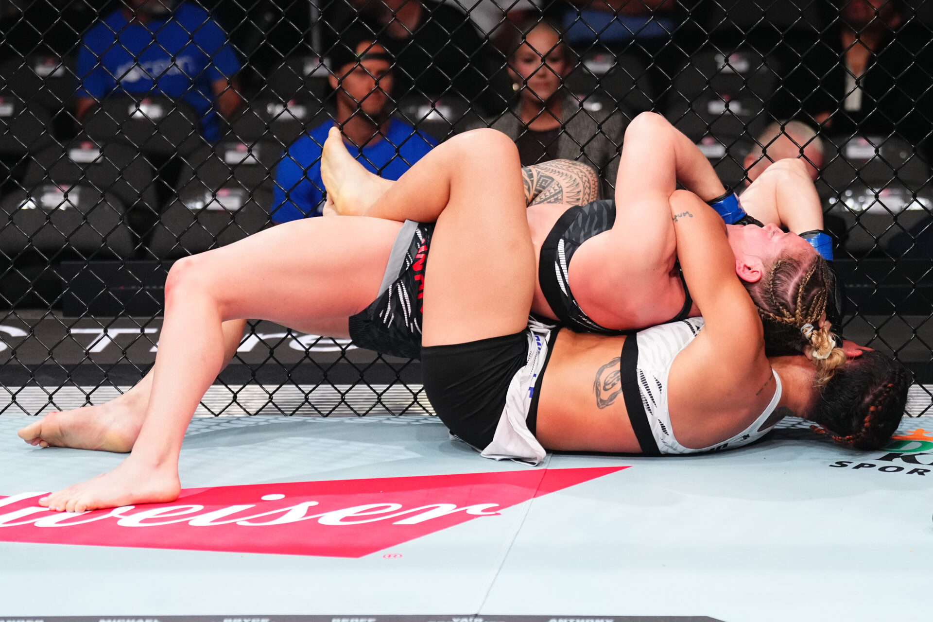 UFC 314: Cornolle v Cowan
