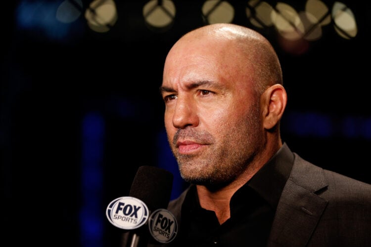 Photo by Josh Hedges/Zuffa LLC/Zuffa LLC via Getty Images