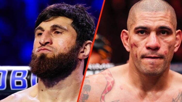 Magomed Ankalaev moments before UFC 313 fight against Alex Pereira split with Pereira moments after his UFC 313 loss