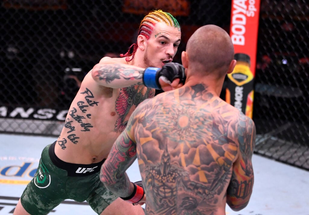 Sean O'Malley punches Eddie Wineland at UFC 250