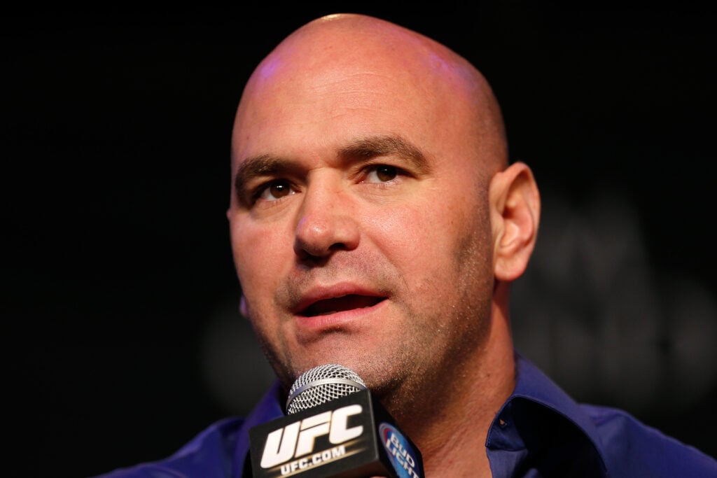 Dana White talks at the UFC 167 press conference