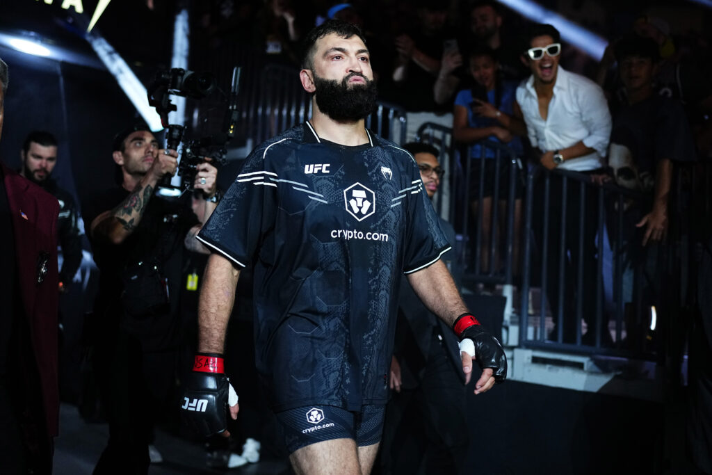 UFC 303: Arlovski v Buday