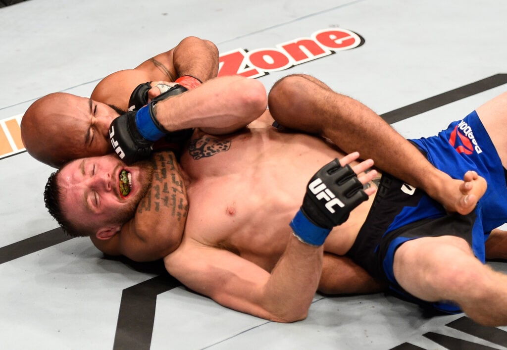 The Ultimate Fighter Finale: Johnson v Elliott