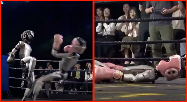 Robots clash in world's first humanoid boxing match in China