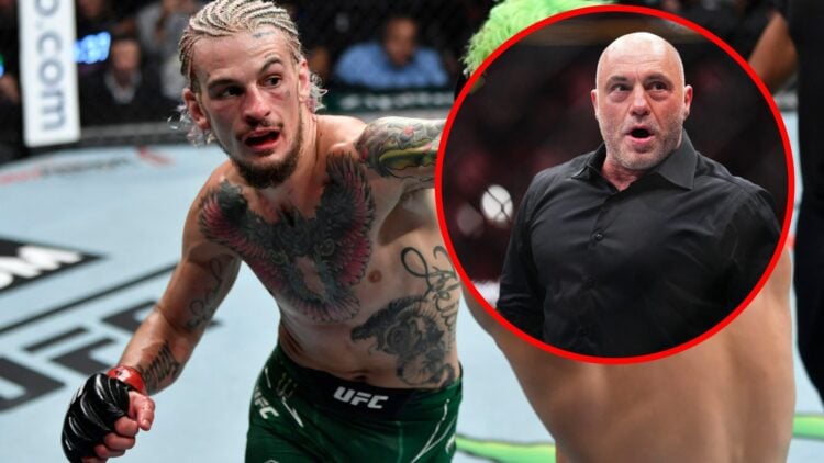 Sean O'Malley punches Kris Moutinho at UFC 264 with a inset of Joe Rogan looking shocked at UFC 300