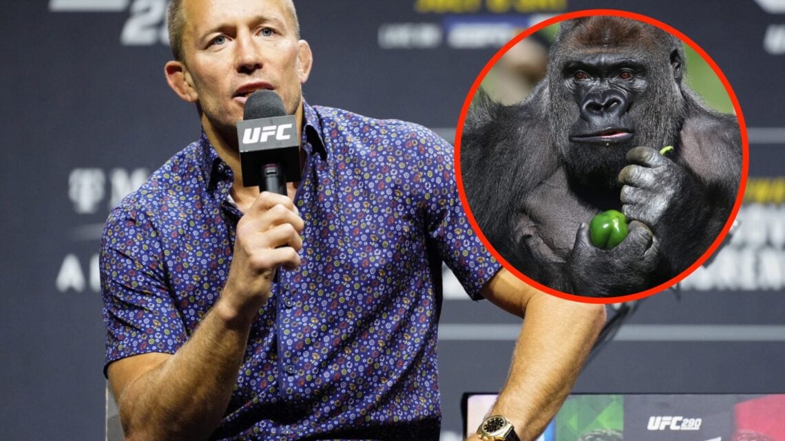 Georges St-Pierre at the UFC 290 ceremonial weigh-ins with an inset of a Silverback Gorilla in a Zoo