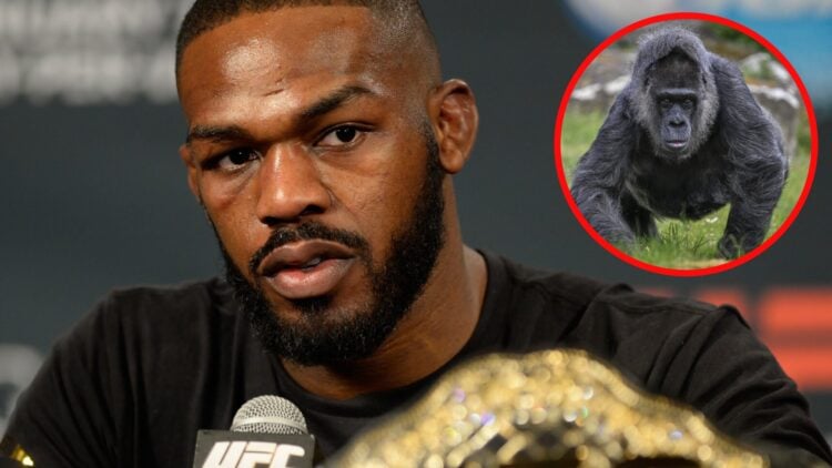 Jon Jones speaks at the UFC 182 post fight press conference with an inset of Fatou, the world's oldest female Gorilla