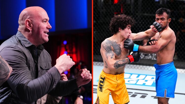 Dana White reacting to Dana White's Contender Series fight split with The Ultimate Fighter Season 33 fight
