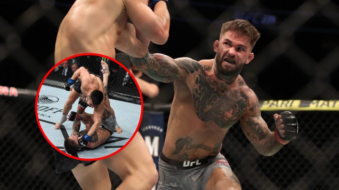 Cody Garbrandt and Pedro Munhoz during their fight at UFC 235.