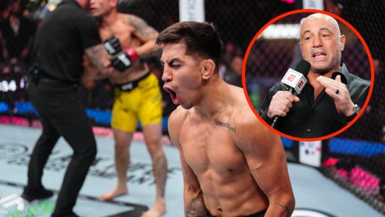 Jose Delgado reacts to knocking out Hyder Amil at UFC 317, Joe Rogan speaks at UFC 290.