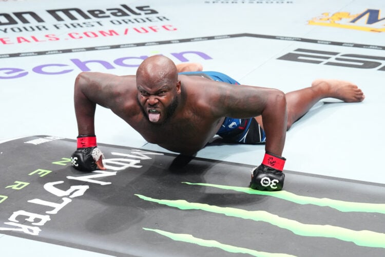 Photo by Josh Hedges/Zuffa LLC via Getty Images