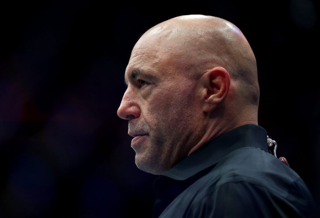 Joe Rogan looks on during UFC 316 event