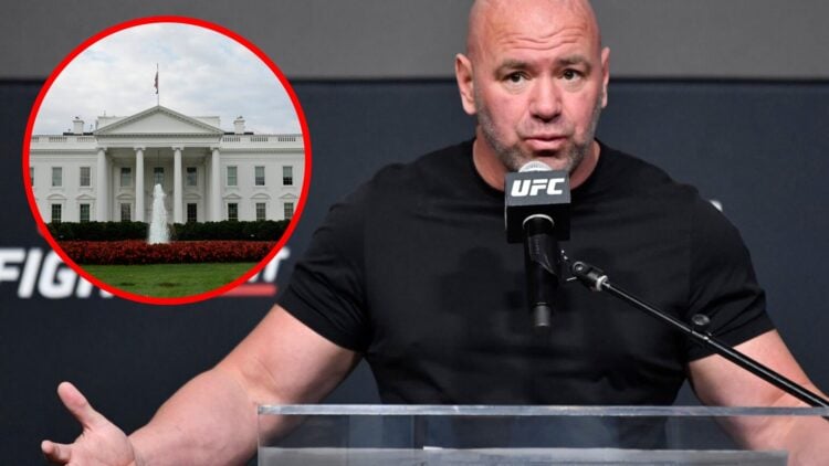 Dana White speaks at a UFC press conference, inset of the White House.