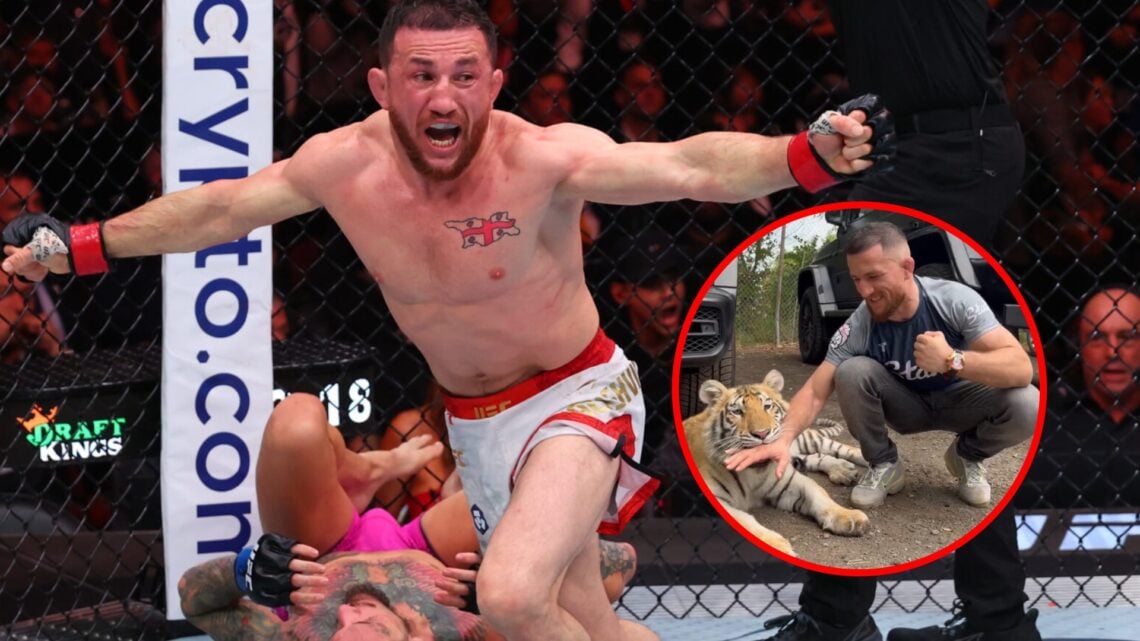 Main: Merab Dvalishvili celebrates after defeating Sean O'Malley at UFC 316. Inset: Merab Dvalishvili puts his hand in a tiger's mouth.