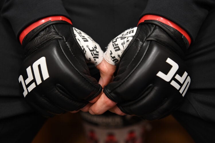 Photo by Mike Roach/Zuffa LLC/Zuffa LLC via Getty Images