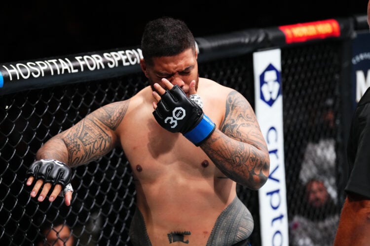 Photo by Josh Hedges/Zuffa LLC