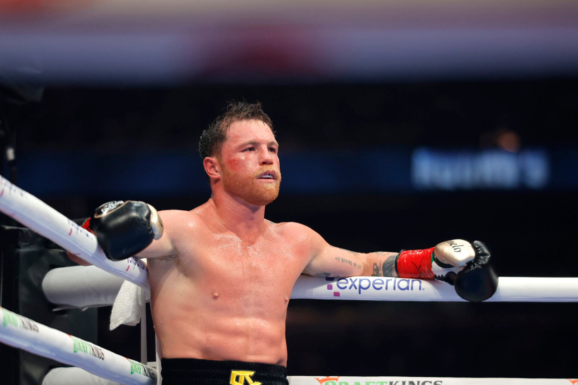 Canelo Alvarez looks on in his corner during his undisputed super middleweight title fight with Terence Crawford in September, 2025.