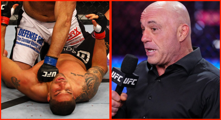 Brendan Schaub gets knocked out in the UFC, Joe Rogan speaks at UFC 317