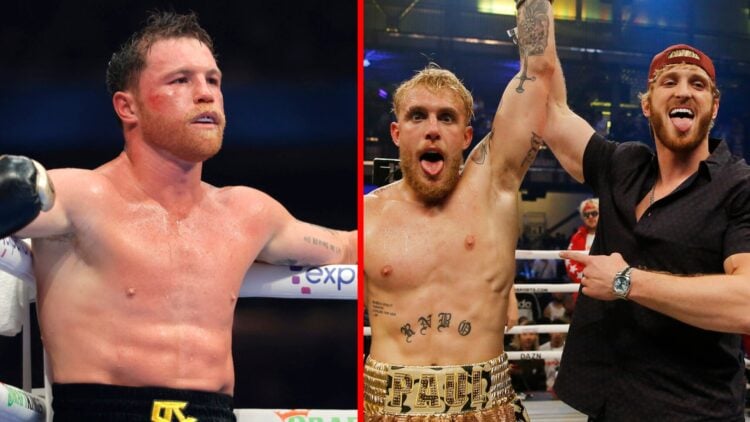 Canelo Alvarez in the corner during his fight with Terence Crawford, Jake and Logan Paul celebrate a boxing win