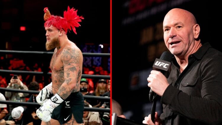 Jake Paul at the opening workouts for Paul vs. Tyson, Dana White during UFC press conference
