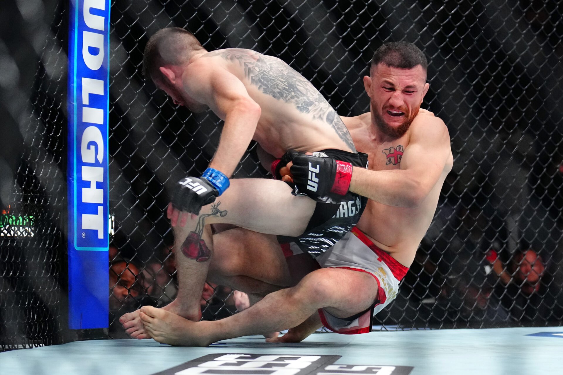Merab Dvalishvili takes down Cory Sandhagen at UFC 320