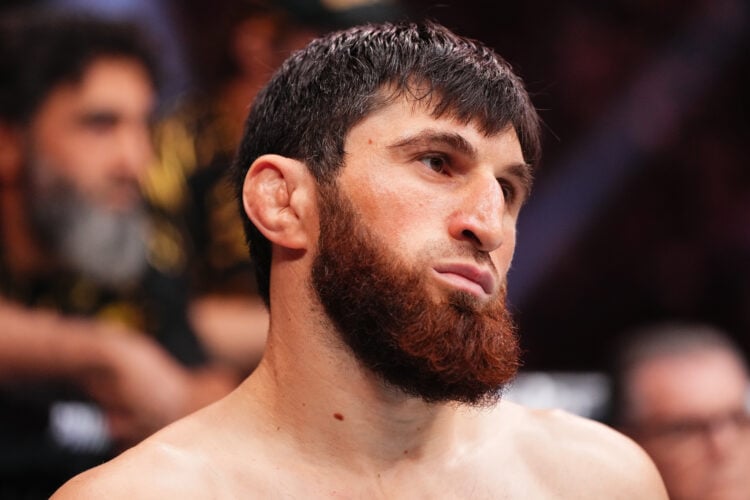 Photo by Jeff Bottari/Zuffa LLC