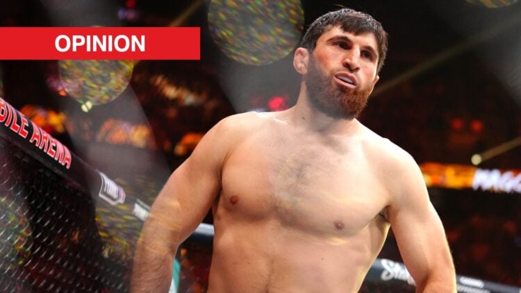 Magomed Ankalaev in the Octagon for his fight against