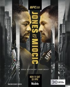 Official UFC 295 poster