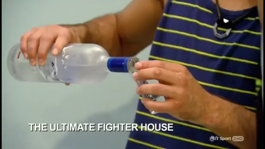 Ronda Rousey TUF 18